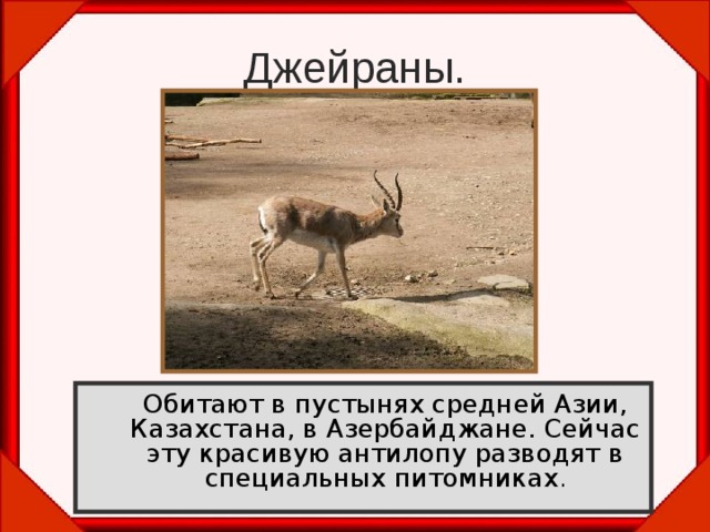 Джейраны.  Обитают в пустынях средней Азии, Казахстана, в Азербайджане. Сейчас эту красивую антилопу разводят в специальных питомниках . 