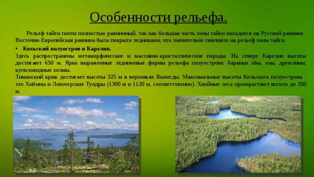 Особенности рельефа. Рельеф тайги почти полностью равнинный, так как большая часть зоны тайги находится на Русской равнине. Восточно-Европейская равнина была покрыта ледниками, что значительно повлияло на рельеф зоны тайги.  Кольский полуостров и Карелия. Здесь распространены метаморфические и массивно-кристаллические породы. На севере Карелии высоты достигают 650 м. Ярко выраженные ледниковые формы рельефа полуострова: бараньи лбы, озы, друмлины, куполовидные холмы. Тиманский кряж достигает высоты 325 м в верховьях Вычегды. Максимальные высоты Кольского полуострова - это Хибины и Ловозерские Тундры (1300 м и 1120 м, соответственно). Хвойные леса произрастают вплоть до 350 м. 