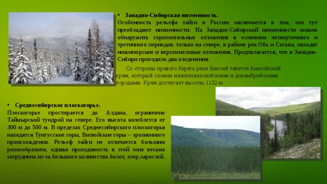 Какие особенности природы сибири зависят от обширности. Рельеф Восточно сибирской тайги. Растительность тайги Восточной Сибири. Климатические условия тайги. Особенности рельефа тайги.