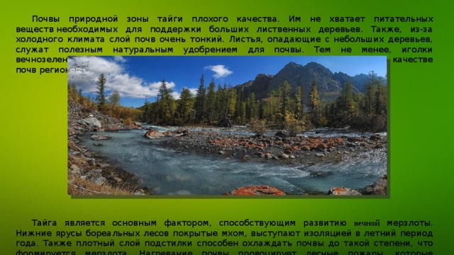 Южная тайга почва. Природная зона Тайга рельеф. Почвы зоны тайги. Почвы тайги в России. Природная зона Тайга почвы.
