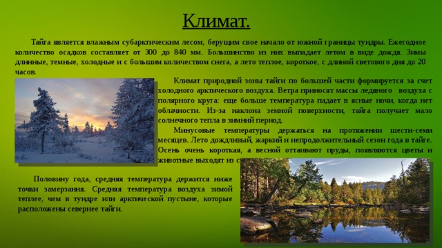 Климат. Тайга является влажным субарктическим лесом, берущим свое начало от южной границы тундры. Ежегодное количество осадков составляет от 300 до 840 мм. Большинство из них выпадает летом в виде дождя. Зимы длинные, темные, холодные и с большим количеством снега, а лето теплое, короткое, с длиной светового дня до 20 часов. Климат природной зоны тайги по большей части формируется за счет холодного арктического воздуха. Ветра приносят массы ледяного   воздуха с полярного круга: еще больше температура падает в ясные ночи, когда нет облачности. Из-за наклона земной поверхности, тайга получает мало солнечного тепла в зимний период. Минусовые температуры держаться на протяжении шести-семи месяцев. Лето дождливый, жаркий и непродолжительный сезон года в тайге. Осень очень короткая, а весной оттаивают пруды, появляются цветы и животные выходят из спячки. Половину года, средняя температура держится ниже точки замерзания. Средняя температура воздуха зимой теплее, чем в тундре или арктической пустыне, которые расположены севернее тайги. 