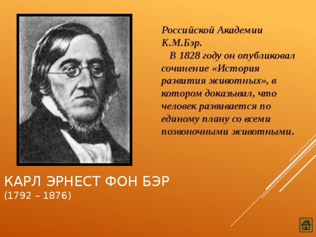 Бэр это. К М Бэр 1828. Бэр вклад в биологию. История развития животных Карл Бэр. Карл Эрнст фон Бэр.