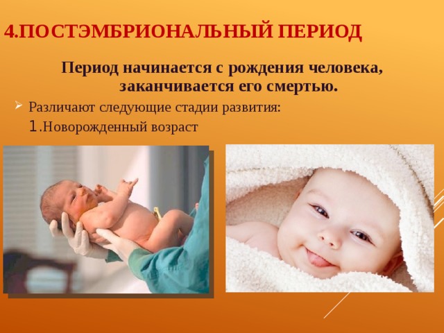 4.ПОСТЭМБРИОНАЛЬНЫЙ ПЕРИОД Период начинается с рождения человека, заканчивается его смертью. Различают следующие стадии развития:  1. Новорожденный возраст 