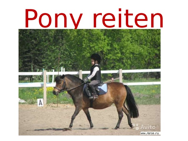 Pony reiten 