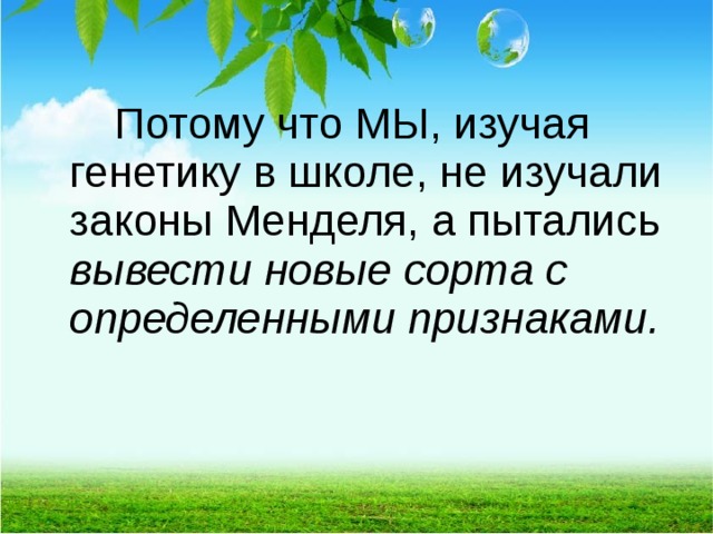   Потому что МЫ, изучая генетику в школе, не изучали законы Менделя, а пытались вывести новые сорта с определенными признаками.  