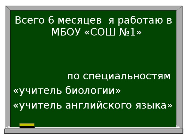 Всего 6 месяцев я работаю в МБОУ «СОШ №1» по специальностям «учитель биологии» «учитель английского языка» 