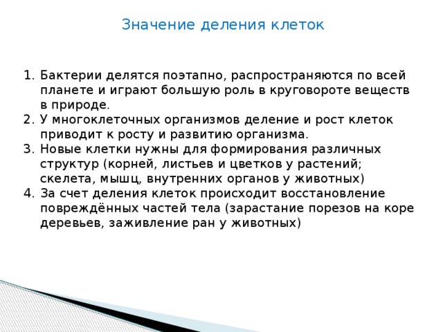 Значение деления клеток Бактерии делятся поэтапно, распространяются по всей планете и играют большую роль в круговороте веществ в природе. У многоклеточных организмов деление и рост клеток приводит к росту и развитию организма. Новые клетки нужны для формирования различных структур (корней, листьев и цветков у растений; скелета, мышц, внутренних органов у животных) За счет деления клеток происходит восстановление повреждённых частей тела (зарастание порезов на коре деревьев, заживление ран у животных) 