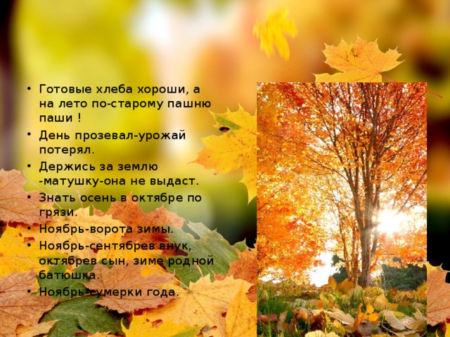 Готовые хлеба хороши, а на лето по-старому пашню паши ! День прозевал-урожай потерял. Держись за землю -матушку-она не выдаст. Знать осень в октябре по грязи. Ноябрь-ворота зимы. Ноябрь-сентябрев внук, октябрев сын, зиме родной батюшка. Ноябрь-сумерки года. 