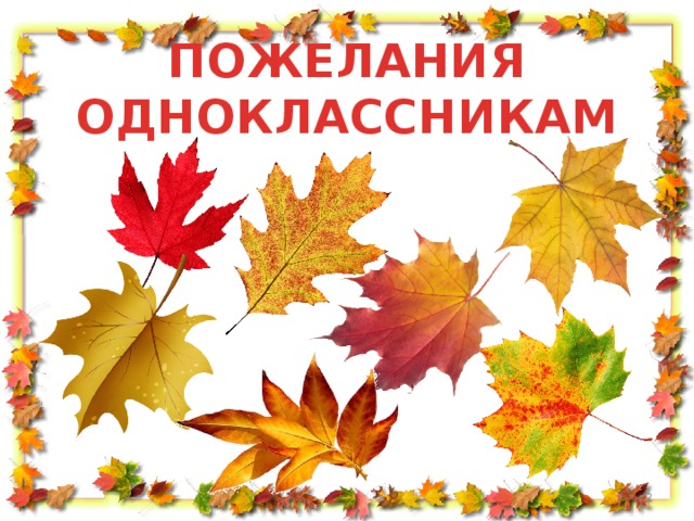 Пожелания одноклассникам. Пожелания однокласника. Пожелание однокласснице. Прделание однакластникам.