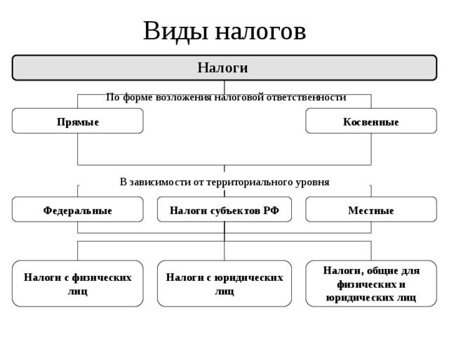 Виды налогов картинки