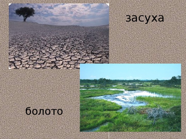 засуха болото 