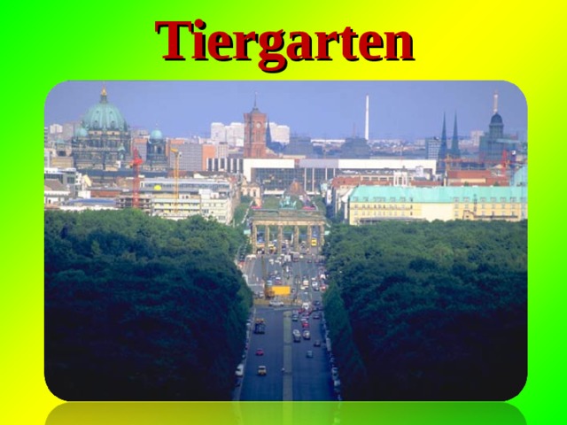 Tiergarten 