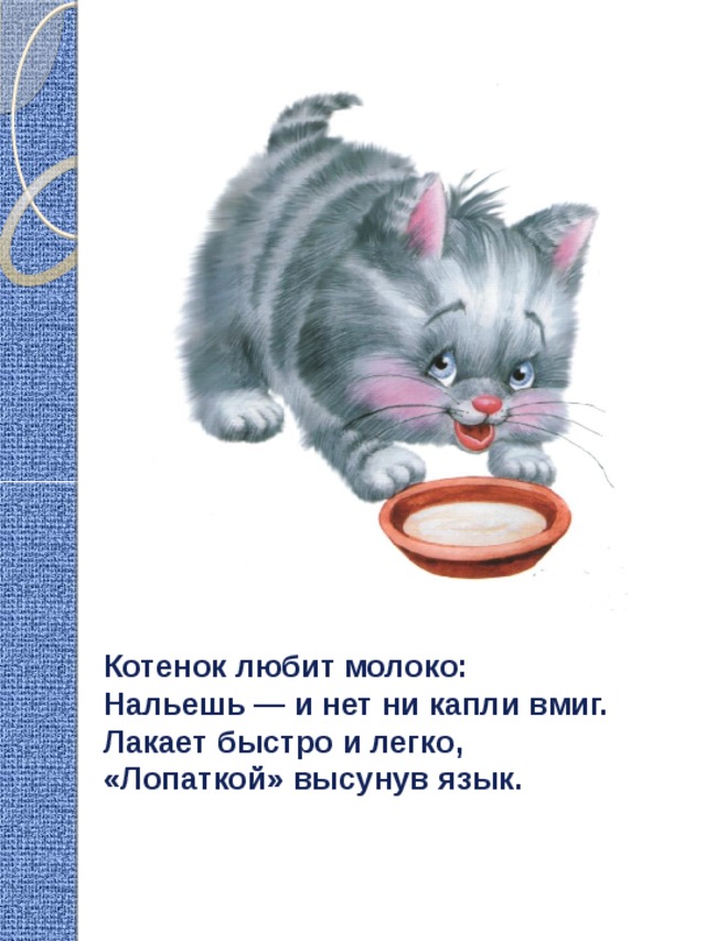 Картинка котенок лакает молоко