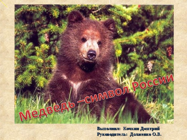 Выполнил: Кочкин Дмитрий  Руководитель: Долженко О.В.