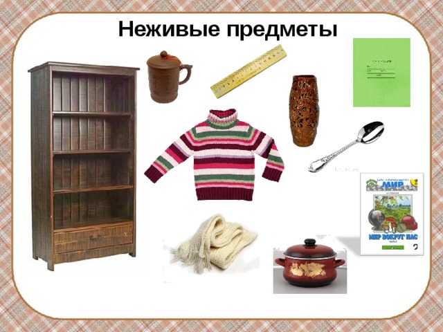 Неживые предметы