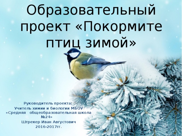 Образовательный проект «Покормите птиц зимой»   Руководитель проекта: Учитель химии и биологии МБОУ «Средняя общеобразовательная школа №24» Штрекер Иван Августович 2016-2017гг . 