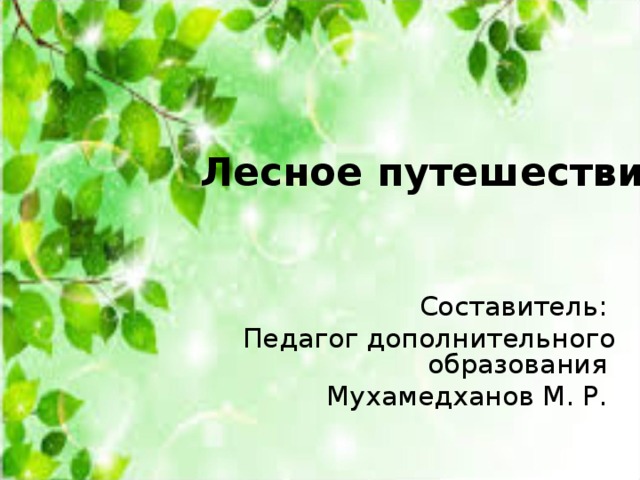 Лесное путешествие Составитель: Педагог дополнительного образования Мухамедханов М. Р. 