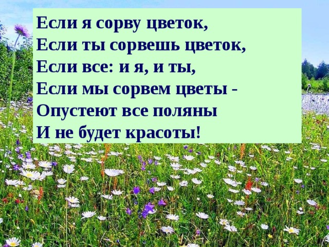 Если я сорву цветок, Если ты сорвешь цветок, Если все: и я, и ты, Если мы сорвем цветы - Опустеют все поляны И не будет красоты! 