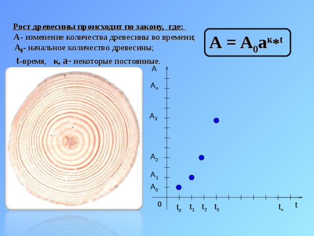  Рост древесины происходит по закону, где:  A - изменение количества древесины во времени;   A 0 - начальное количество древесины;  t -время, к, а- некоторые постоянные. А = А 0 а к * t А A n A 3 A 2 A 1 A 0 0 t t n t 3 t 2 t 1 t 0 