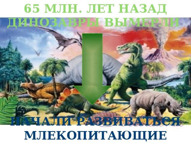 Проект жизнь и гибель динозавров на планете земля 4 класс