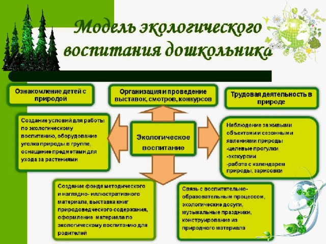 Презентация по экологическому воспитанию в детском саду