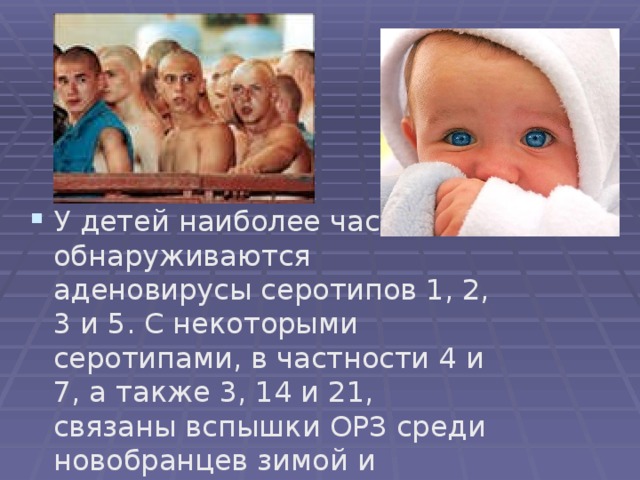 У детей наиболее часто обнаруживаются аденовирусы серотипов 1, 2, 3 и 5. С некоторыми серотипами, в частности 4 и 7, а также 3, 14 и 21, связаны вспышки ОРЗ среди новобранцев зимой и весной. 