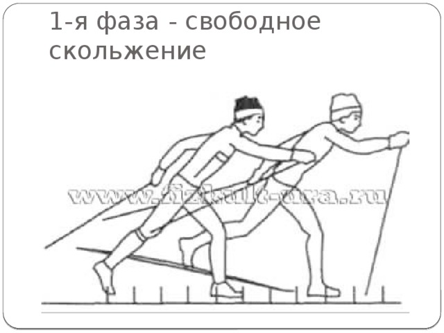 Свободно скользящий. 1 Фаза попеременного двухшажного хода. Попеременный двухшажный ход на лыжах 1 фаза. Фазы попеременного двухшажного хода на лыжах. Техника попеременного двухшажного хода 1 фаза.