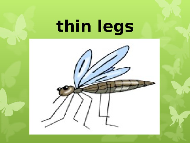 thin legs