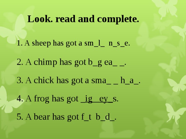 Look. read and complete. 1. A sheep has got a sm_l_ n_s_e. 2. A chimp has got b_g ea_ _. 3. A chick has got a sma_ _ h_a_. 4. A frog has got _ ig ey_ s. 5. A bear has got f_t b_d_.