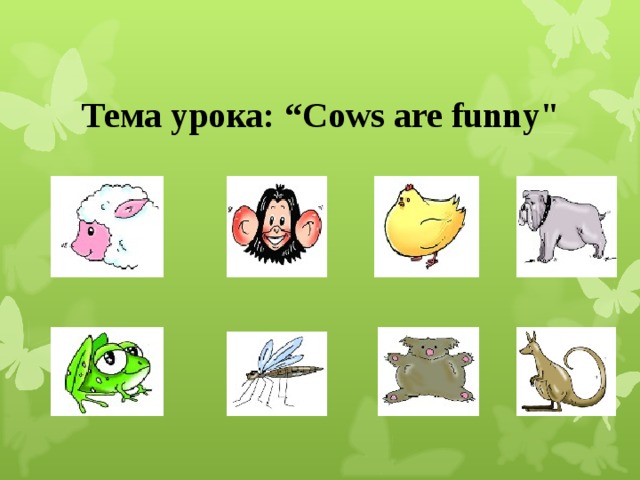 A funny animal план урока