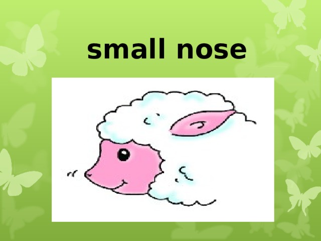 s mall nose