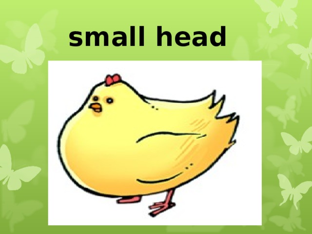 small head