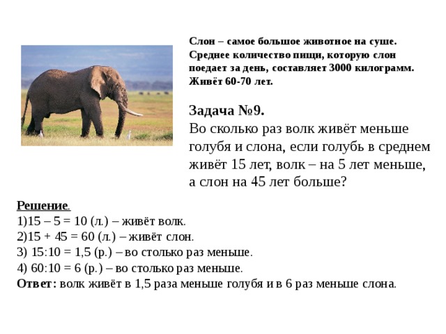 Слон сколько кг