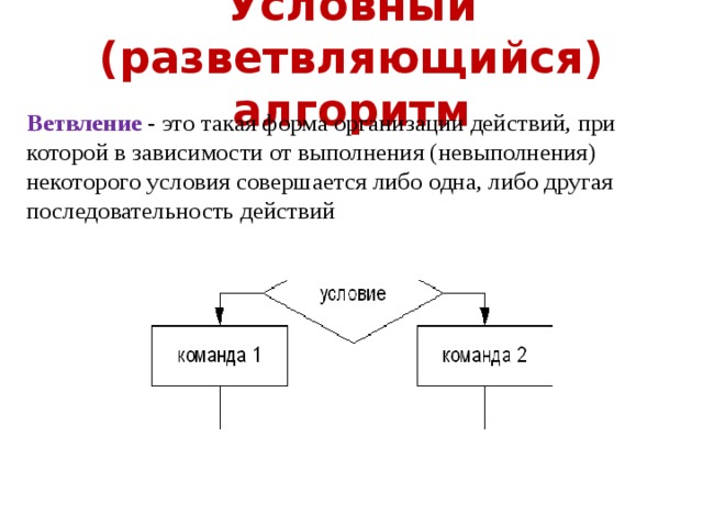 Теория двойного времени. Условный алгоритм. Разветвляющийся, циклический,. Условный алгоритм это в информатике. Условный алгоритм алгоритм это.