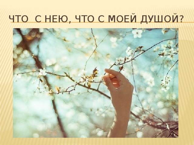 Что с нею, что с моей душой? 