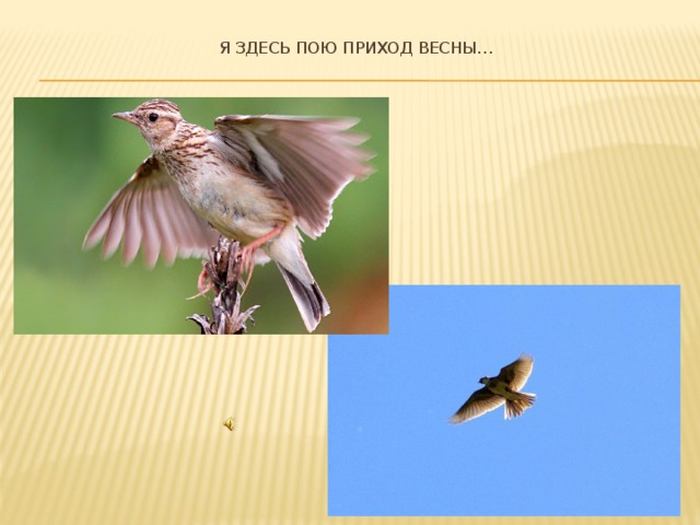  Я здесь пою приход весны…    