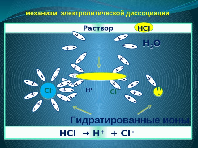 Составьте возможные уравнения электролитической диссоциации веществ в водных растворах hcl hno3