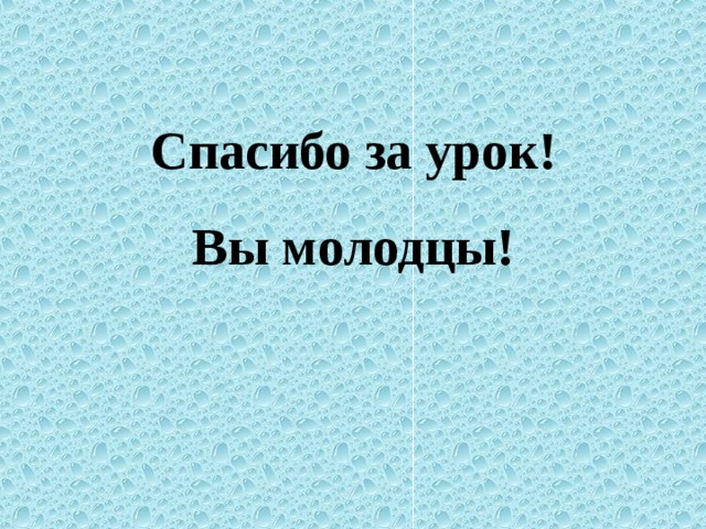 Спасибо за урок!  Вы молодцы!