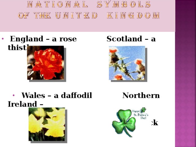 England – a rose Scotland – a thistle      Wales – a daffodil Northern Ireland –   a shamrock  