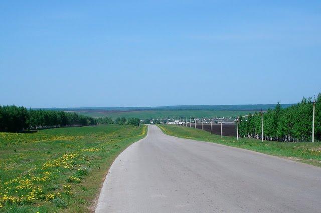 Погода клявлино самарская область на 10 дней. Село Клявлино Самарской области. Петровка Самарская область Клявлинский район. Старое Резяпкино Клявлинский район. Степное Дурасово Клявлинский район.