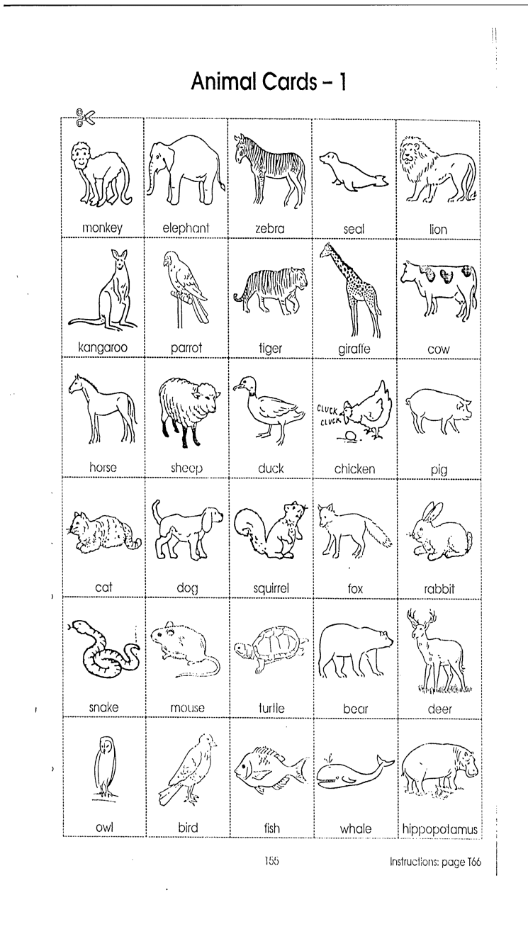 Lesson plan "Animals" 1 grade