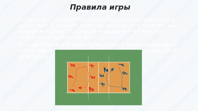 Волейбольная площадка условно делится на зоны