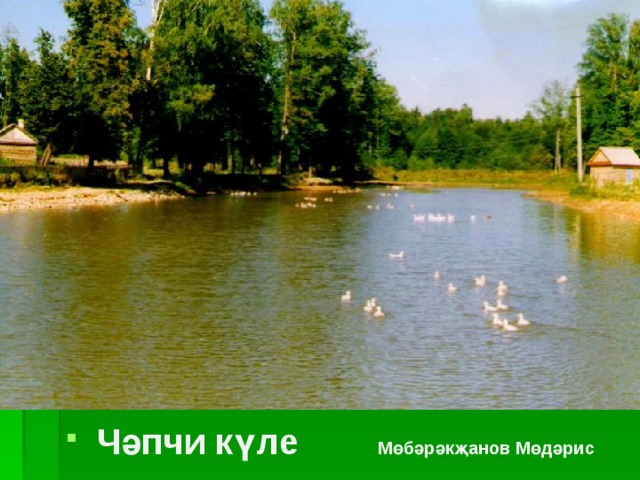  Чәпчи күле Мөбәрәкҗанов Мөдәрис 