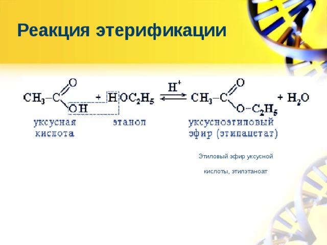 Реакция этерификации