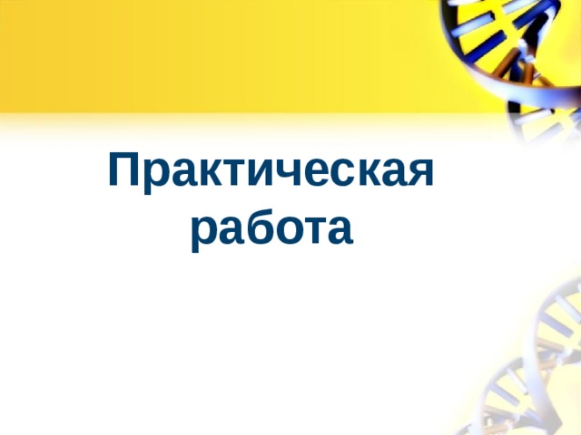 Практическая работа