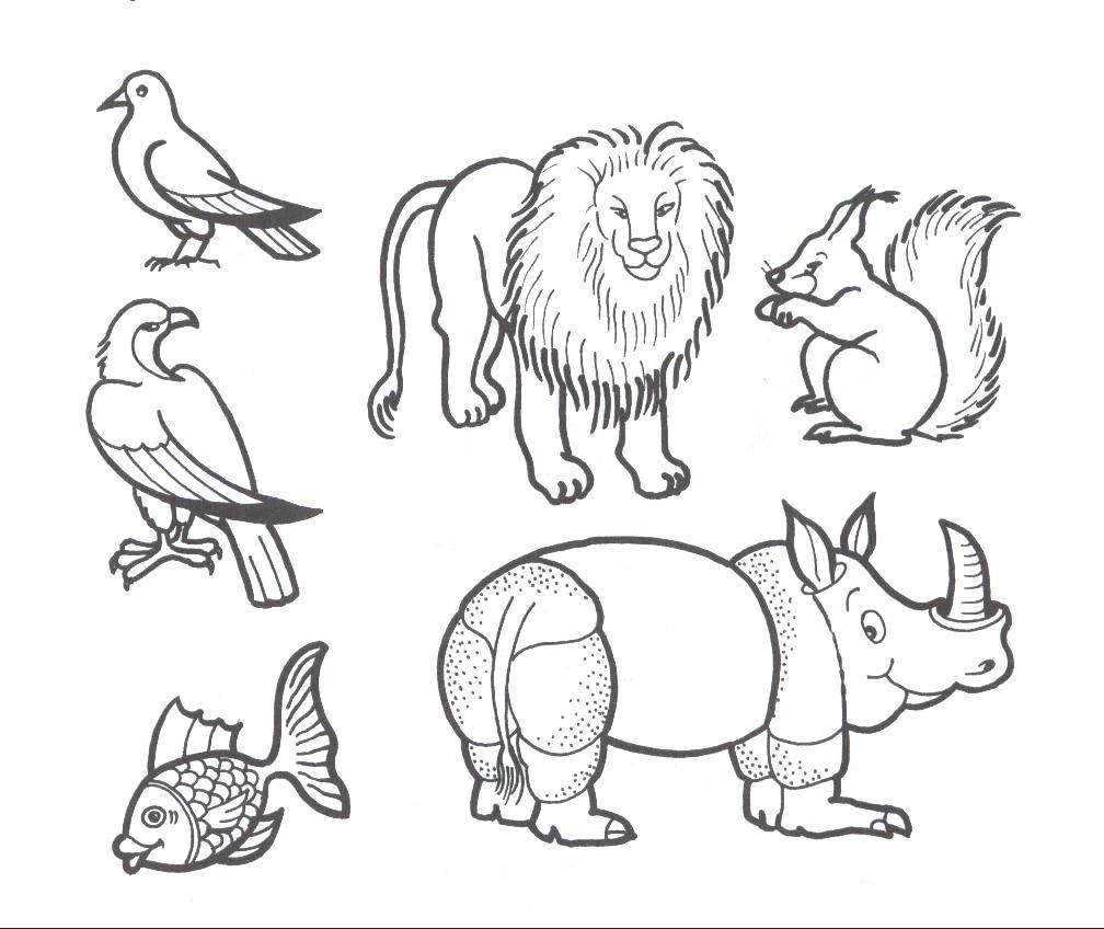 Животные группами раскраски. Раскраски. Животные. Раскраски животные для детей. Рисунки разных животных. Дикие и домашние животные раскраска.