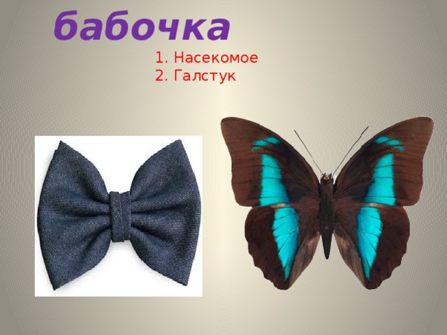 бабочка 1. Насекомое 2. Галстук 