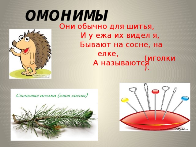 омонимы Они обычно для шитья,  И у ежа их видел я,  Бывают на сосне, на елке,  А называются (иголки). 