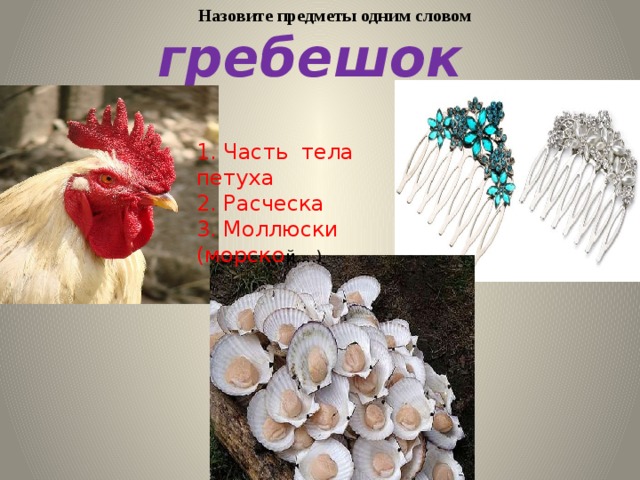 Назовите предметы одним словом гребешок 1. Часть тела петуха 2. Расческа 3. Моллюски (морско й….) 