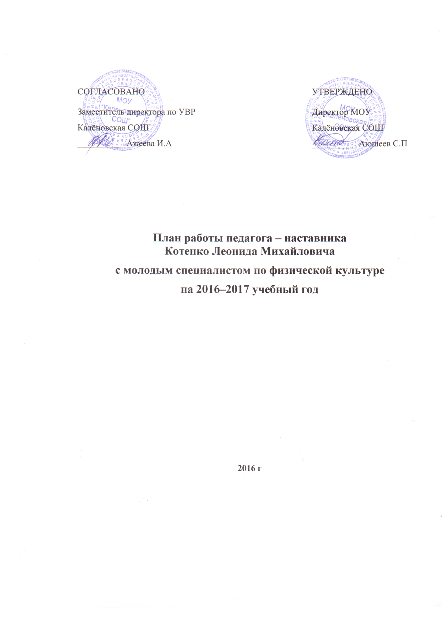 План работы педагога-наставника с молодыми специалистами по физической  культуре